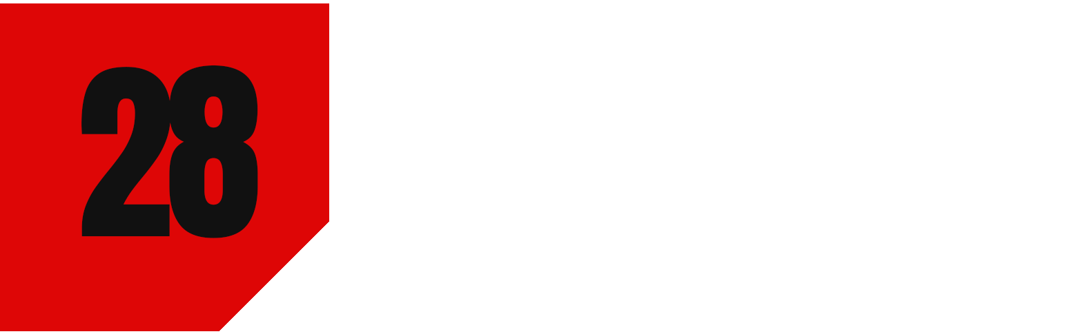 28 Rogue